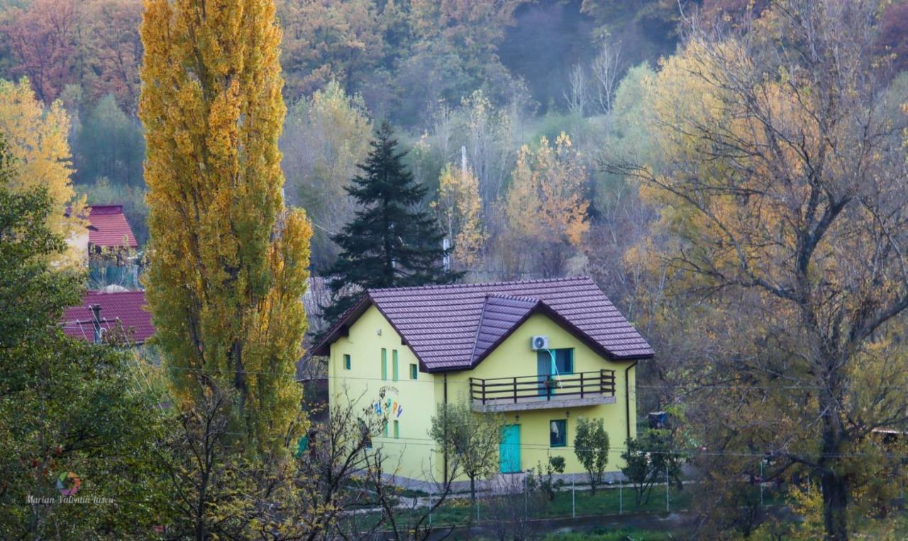 Pensiunea Happy Schitu Topolnitei Buitenkant foto